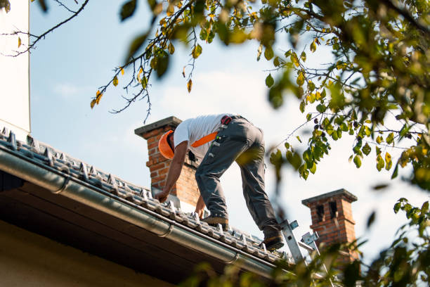 Best Roof Restoration Services  in Woodburn, VA